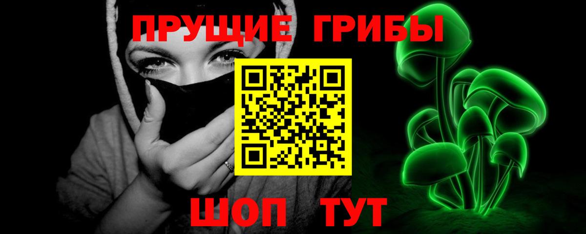 Псилоцибиновые грибы Psilocybine cubensis  Вход с VPN  Галлюциногенные грибы Cubensis  Солнечногорск 